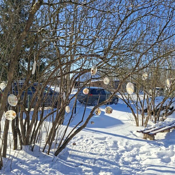 Saldējums un ledus dekori