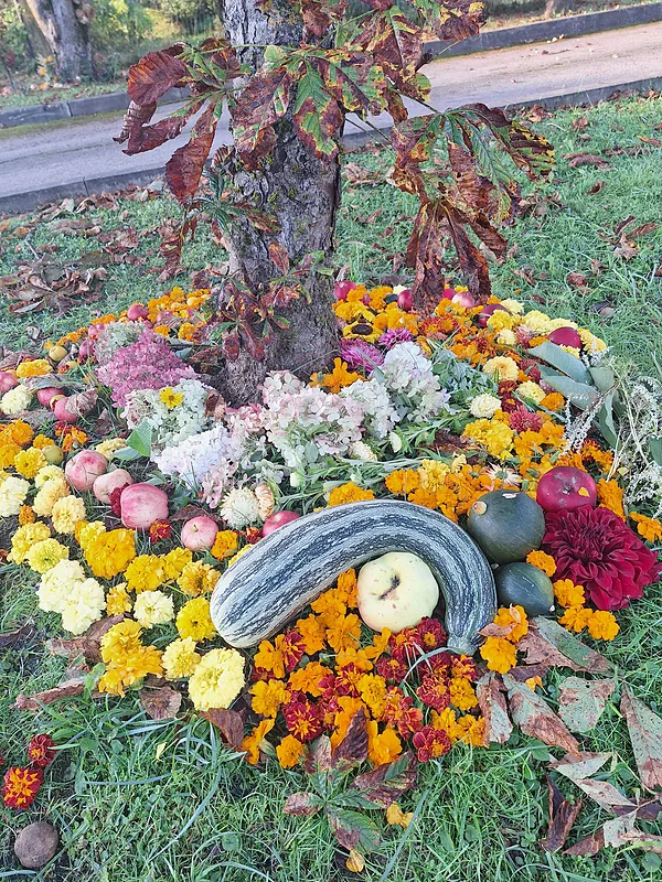 Miķeļdiena. Rudens mandalas.